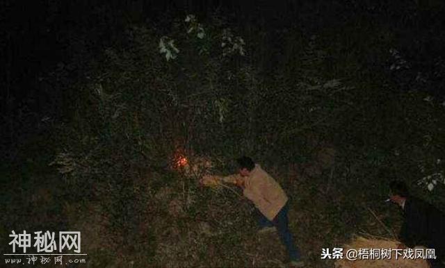 凭“夜听空谷回音”盗墓绝技，推测妃冢墓道，挖第一锹的被判死刑-5.jpg