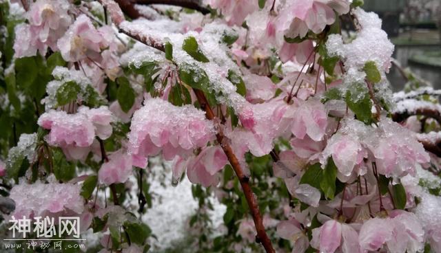 窦娥冤六月飞雪原来只是恰巧碰上的自然现象-5.jpg