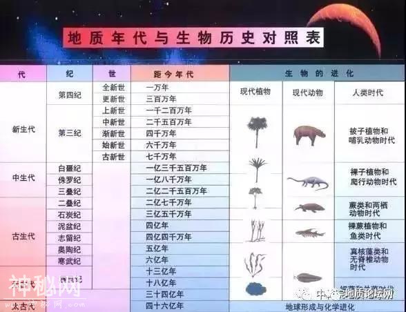 何谓地质时代、地质年代单位？何谓生物地层单位和年代地层单位？-2.jpg