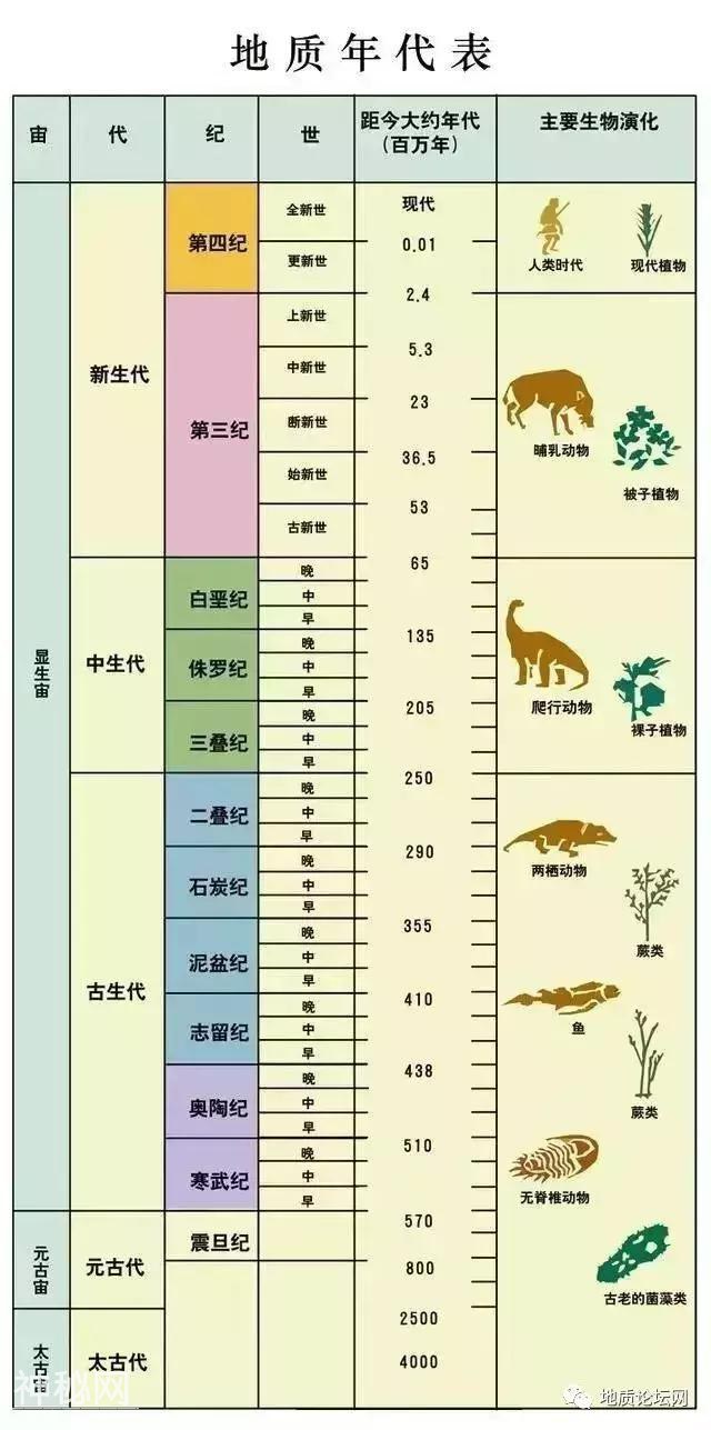 何谓地质时代、地质年代单位？何谓生物地层单位和年代地层单位？-4.jpg