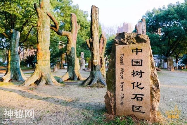 学城洪山 | 爱上南望山“宝藏高校”：中国地质大学（武汉）！-13.jpg