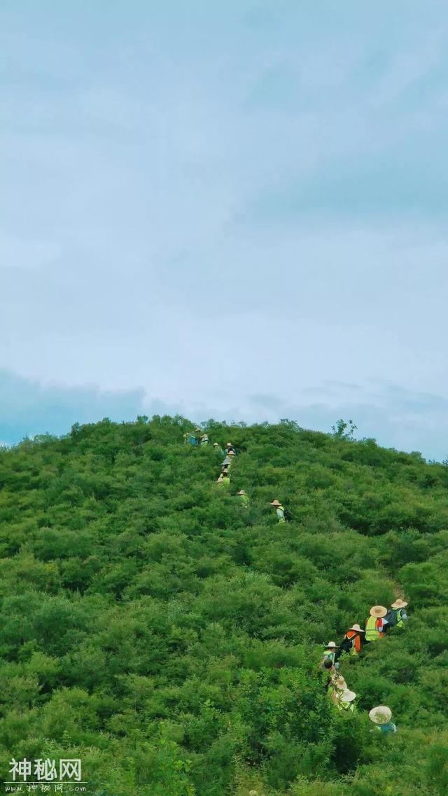 学城洪山 | 爱上南望山“宝藏高校”：中国地质大学（武汉）！-32.jpg