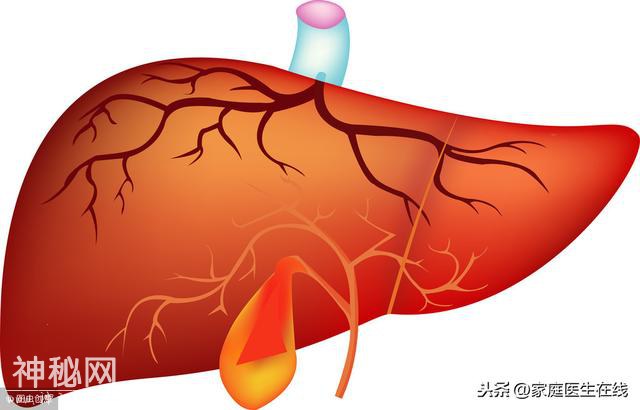 身体出现6个迹象，可能是肝硬化的“萌芽”，及早发现-3.jpg