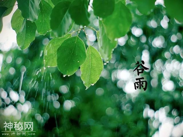 谷雨养生丨祛湿好时节，养好身体这“三处”，健康一整年！-9.jpg