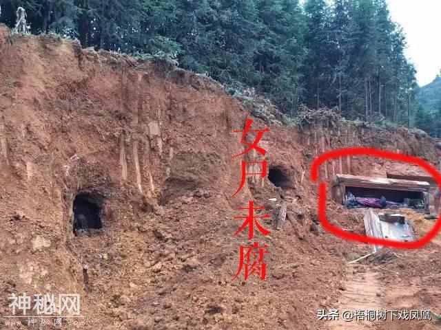 明朝时安徽发生一起离奇盗墓大案，只盗尸骨，高手外号“穿山甲”-13.jpg