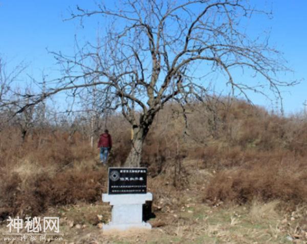 河南出土一座商代古墓，考古队看了看位置，大呼：不能挖-1.jpg