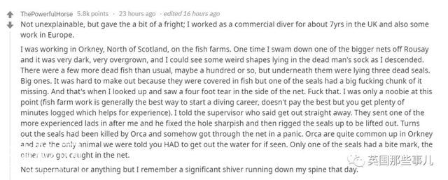 潜水爱好者的那些最诡异的水下奇遇…有些简直标准恐怖片开头…-6.jpg