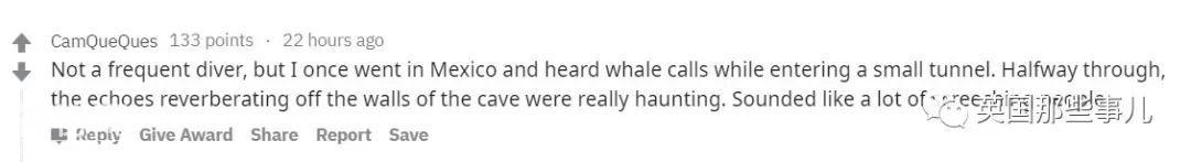 潜水爱好者的那些最诡异的水下奇遇…有些简直标准恐怖片开头…-13.jpg