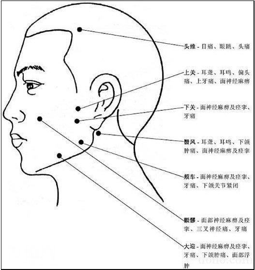 一定要知道的人体知识大全-4.jpg