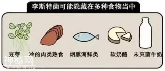 夏季，如何预防食源性疾病？-8.jpg