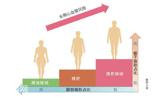 这种身材女性心血管更健康，再也不羡慕别人腿细了-2.jpg