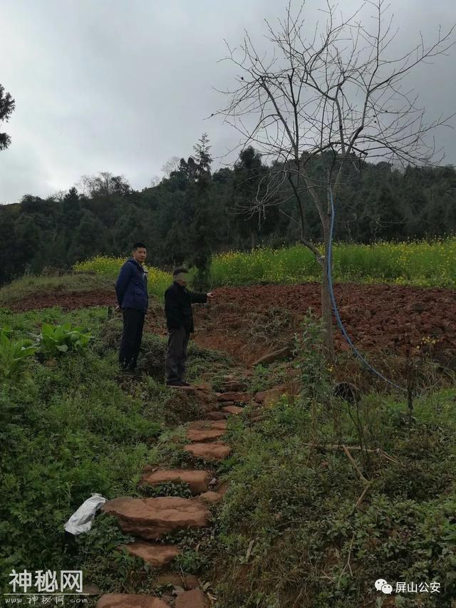 宜宾惊现真实版“盗墓笔记”三座古墓被盗 被盗文物有这些...-15.jpg