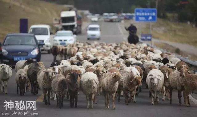 肉毒杆菌只会在肉里？一个科学误会让这种怪病变得离奇-17.jpg