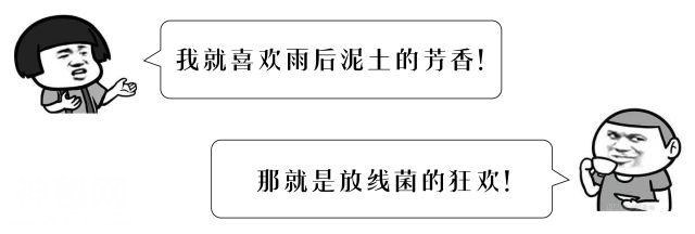 咳嗽、发热、寒战……摸过出土文物后，男子反复住院七次，最后发现……-3.jpg