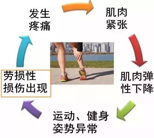 长期健身不拉伸，你的身体会发生什么-8.jpg