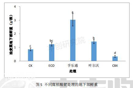 易吸收、见效快、肥效长是腐植酸绝技！但它再妙，农友也不能乱用-8.jpg