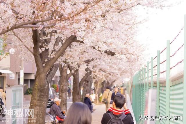 日本怎么对待留学生？来了，就得守规矩-6.jpg