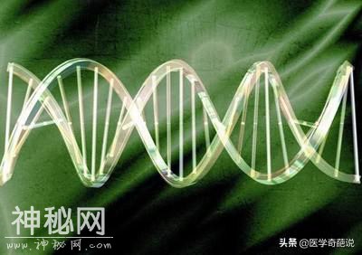 天人合一：生命的奥秘——揭示人体的科学奇迹-2.jpg