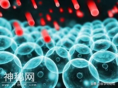 天人合一：生命的奥秘——揭示人体的科学奇迹-4.jpg