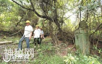 泉港驿坂发现400多年前明代陈煌古墓：他是知府 逝后缘何坟墓立有龙首柱-2.jpg