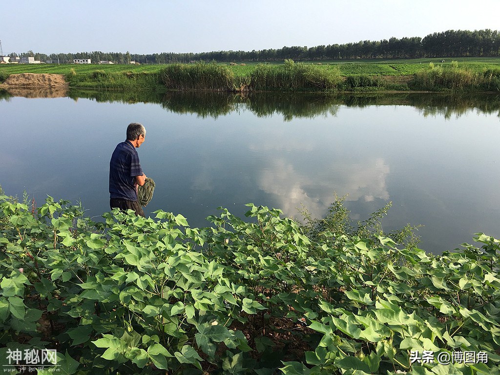 朱小五的绝技：中药水泡鸡肠子，就能让成群的虾蟹乖乖钻进网笼里-1.jpg