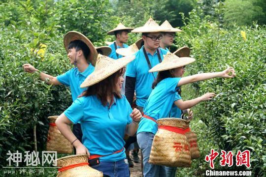 两岸青年走进福建感受民俗 增进友谊-5.jpg