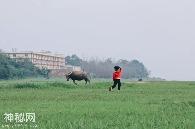 Air点评 | 看到这张“恐怖片”，吓得我差点扔手机-1.jpg