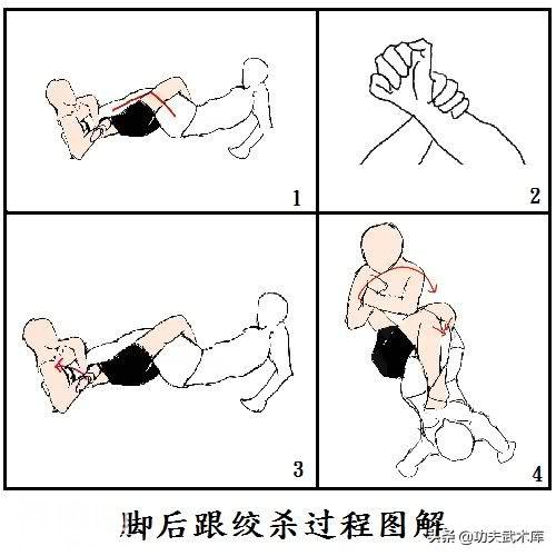 MMA综合格斗技术：脚腕关节技，UFC顶级选手的必杀绝技-4.jpg