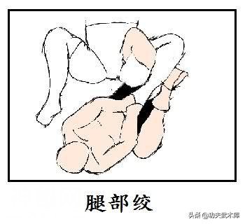 MMA综合格斗技术：脚腕关节技，UFC顶级选手的必杀绝技-10.jpg