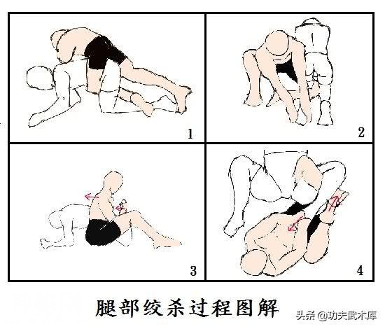 MMA综合格斗技术：脚腕关节技，UFC顶级选手的必杀绝技-11.jpg