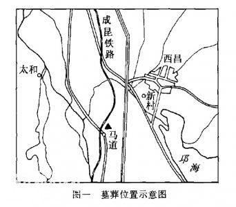 古墓下的古墓 沉睡千年的摇钱树震惊考古队-3.jpg