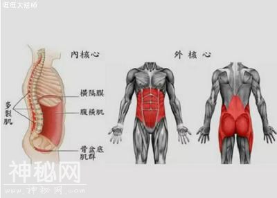 跑步速度如何提高？老手教你4个方法，身体更轻盈，跑步速度快-3.jpg