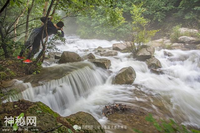 走进雾灵山，在绿水青山中休闲避暑、健康养生-6.jpg