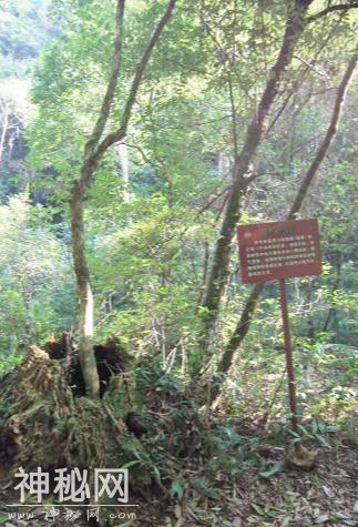 「景是故乡美，酒是故乡醇」游道教胜地连州福山，品一杯名酒，赞-13.jpg