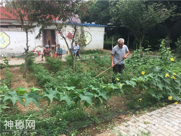 划船行医，守护173户渔民半个世纪 岛医谭庆云：只要身体允许我会一直干下去-10.jpg