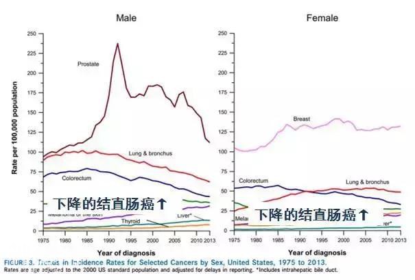 美国2019年癌症报告，看完出了一身冷汗……-7.jpg