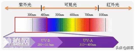 看了40岁的小S和50岁的许晴生图对比，终于理解小S为什么焦虑-4.jpg