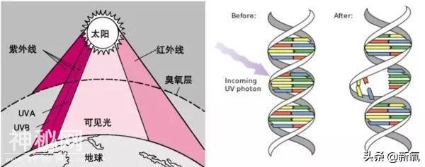 看了40岁的小S和50岁的许晴生图对比，终于理解小S为什么焦虑-5.jpg