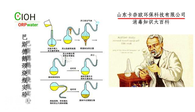 细菌的前世今生？-4.jpg