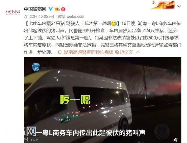 商务车内传出此起彼伏猪叫声，民警一查发现塞了24只生猪…-1.jpg