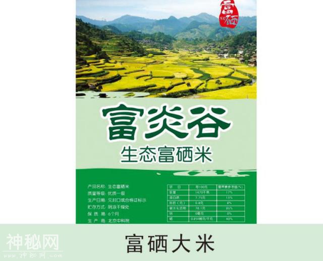 访北京生命源泉生物工程技术有限公司董事长李林奇-9.jpg