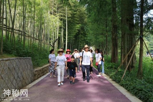 解锁17℃奥秘，感受建德山水人文和夏季清凉！“夏日冬泳”国际挑战赛28日清凉开启-6.jpg