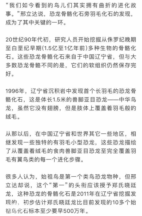 罕见！云南发现1.5亿年前的鸟形恐龙脚印-3.jpg