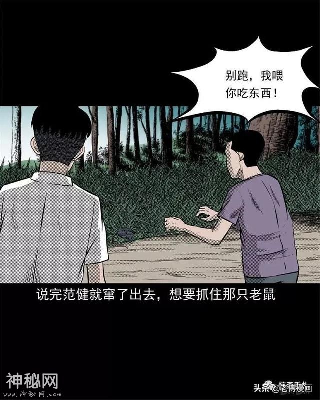 木偶漫画：民间真实故事，惊奇手札之老鼠成仙-13.jpg