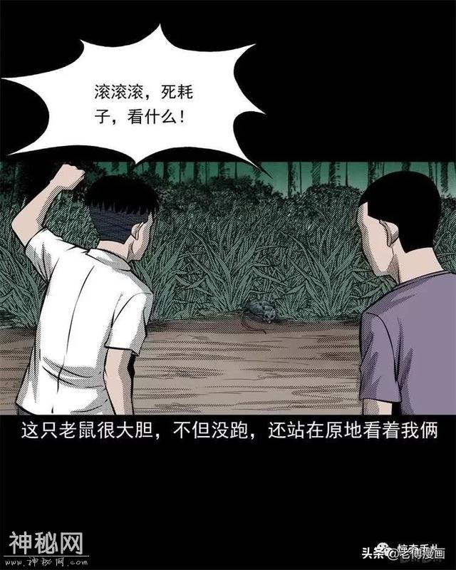 木偶漫画：民间真实故事，惊奇手札之老鼠成仙-8.jpg