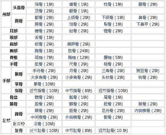 「了解自己」人体的全部骨骼（全套系统图）-1.jpg