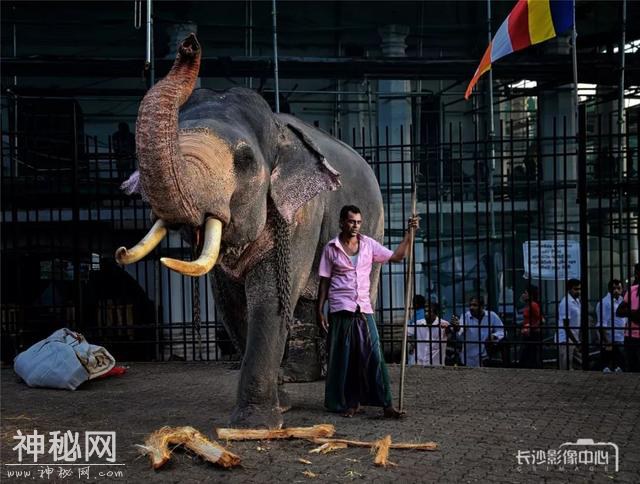 微笑斯里兰卡，万人佛教庆典与深度人文摄影这里统统有-7.jpg