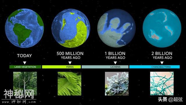 科学家沸腾了！研究发现植物的神奇能力可以用来找外星人-1.jpg