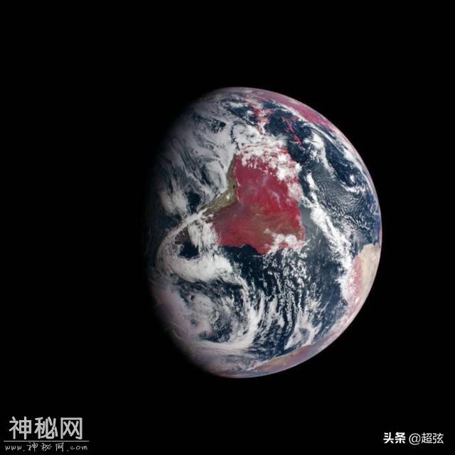 找外星人还是让外星人找？霍金警告的事原来植物们一直在做-4.jpg