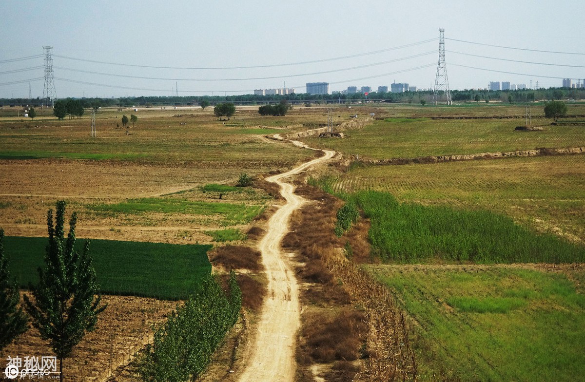 麦田古墓被盗，专家一筹莫展，老农随口一言，挖出三千年古国宝藏-1.jpg